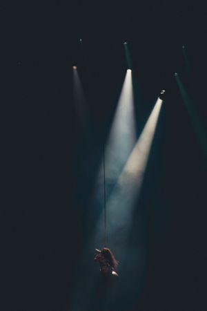 Captured by BFProductions
