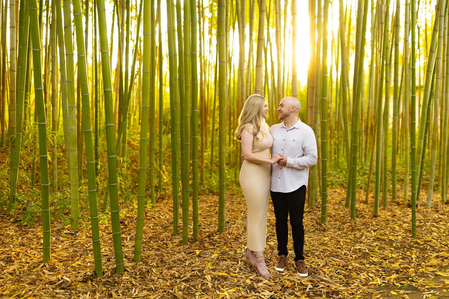 People walking dogs on tree-lined path during autumn with golden sunlight filtering through leaves.