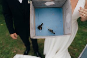 A butterfly in a small blue display box being shown at an outdoor event.