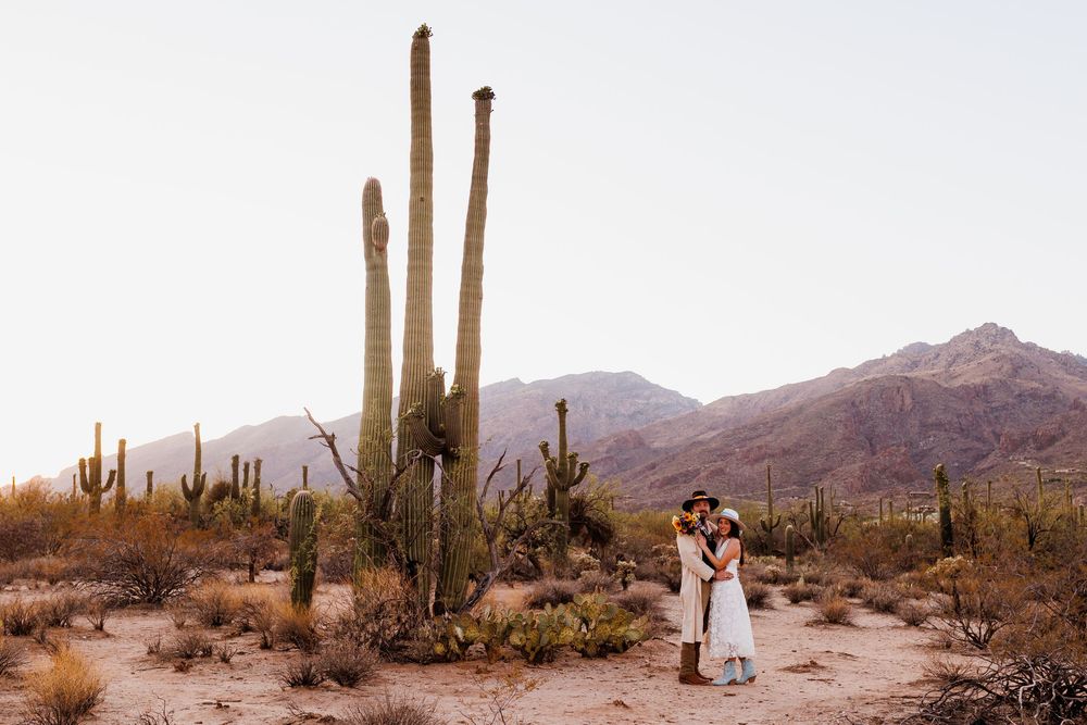 Panoramic desert landscape with tall saguaro cacti and mountain silhouettes at sunset in the American Southwest.