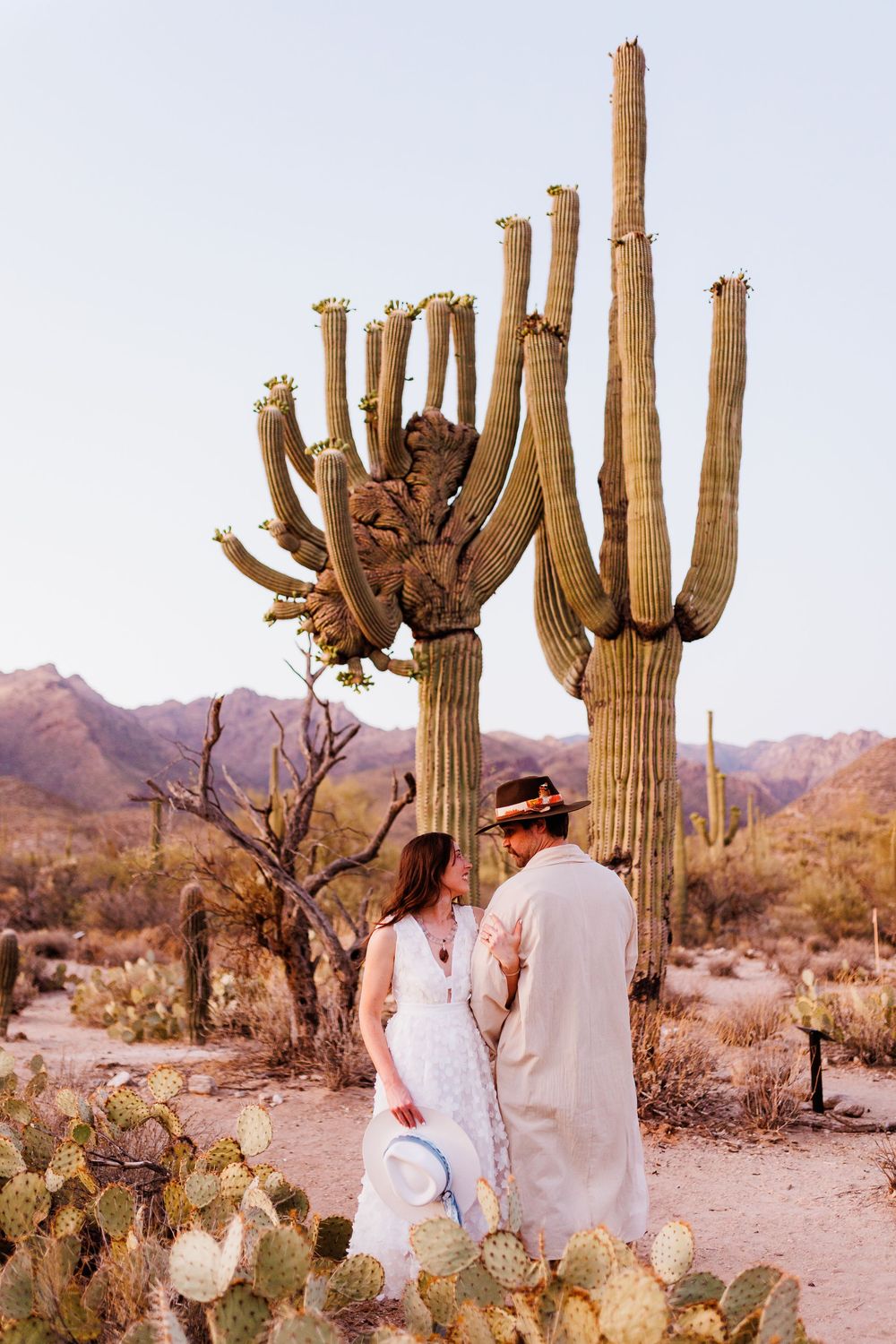 A couple stands among desert cacti and prickly pear plants with tall saguaro cacti against mountains in a desert landscape.