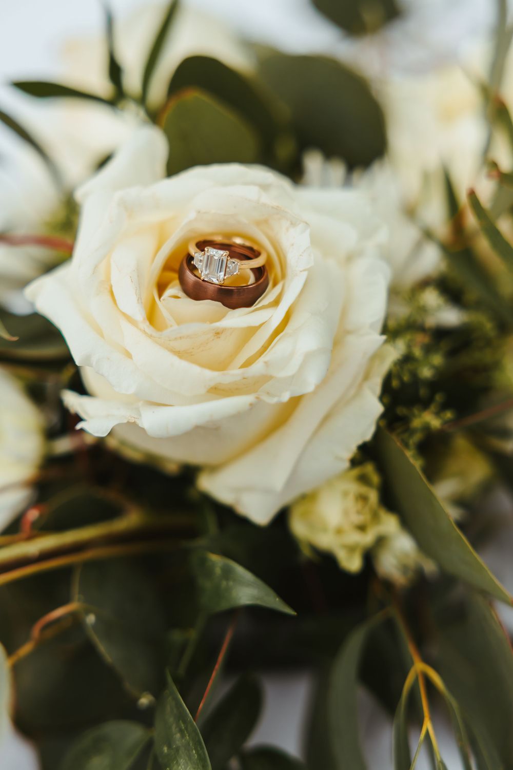 Wedding rings nestled in the center of a cream-colored rose bloom surrounded by green foliage in soft focus.