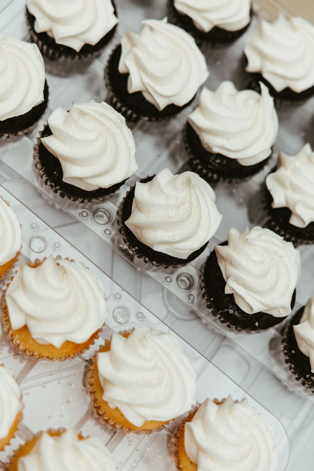 Rows of chocolate and vanilla cupcakes with swirled white frosting displayed in a clear container.