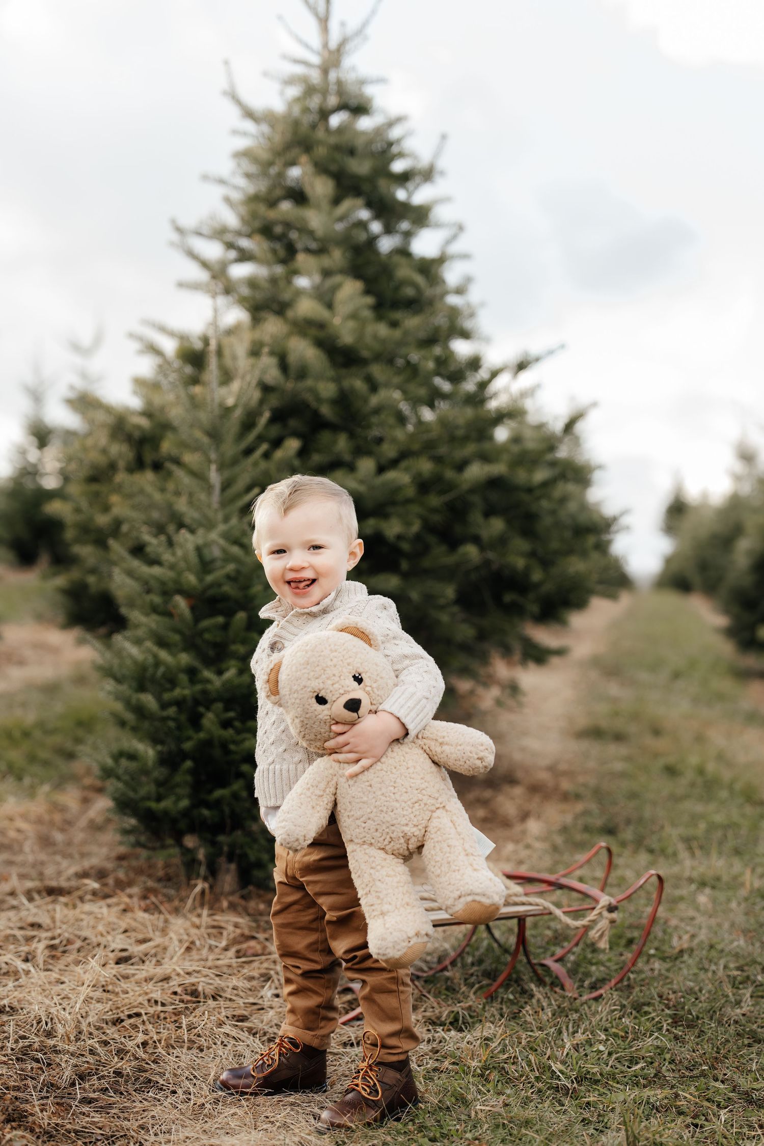 Smiling toddler holds large teddy bear while standing between evergreen trees.