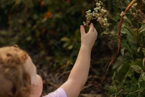 Small hand reaches up to touch flowering plants in a garden setting.