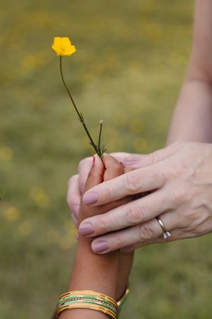 Two hands, one wearing yellow bangles and one with a wedding ring, holding a delicate yellow buttercup flower together.