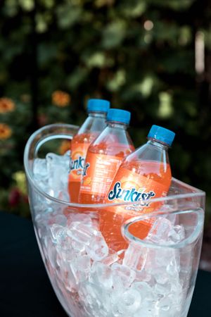 Orange Sunkist soda bottles chilling in ice bucket at outdoor event.