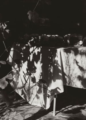 Black and white image showing dappled sunlight and shadows cast on hanging laundry outdoors.