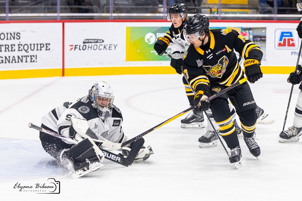 Ice hockey players in black and gold uniforms compete during an intense game on the rink.