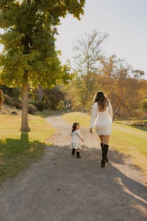 A scenic autumn walk along a tree-lined path during golden hour.