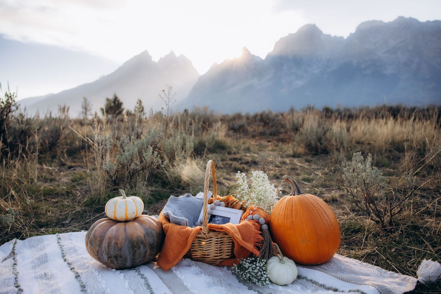 maternity photoshoot grand teton