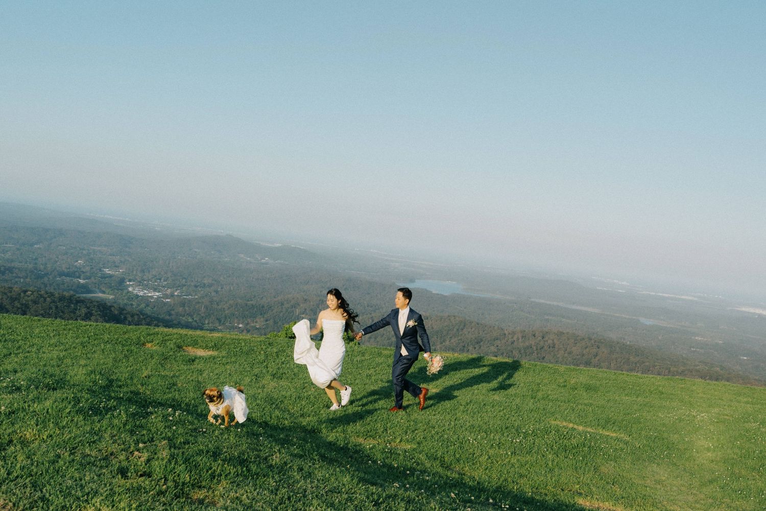 "Best wedding photographer capturing dog at Gold Coast beach ceremony"