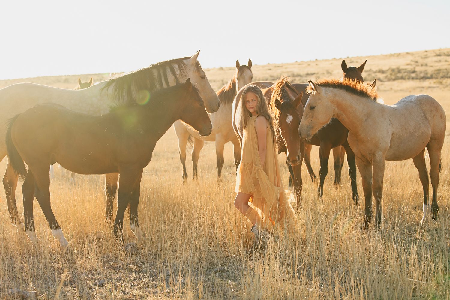 Blackfoot Family Photographer at golden hour with young girl and horses