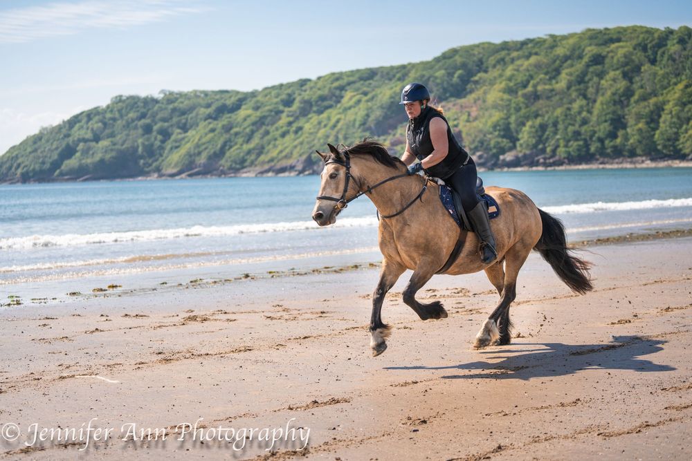 A rider gallops a brown horse along a scenic beach with green cliffs in the background at sunset at Oxwich Beach