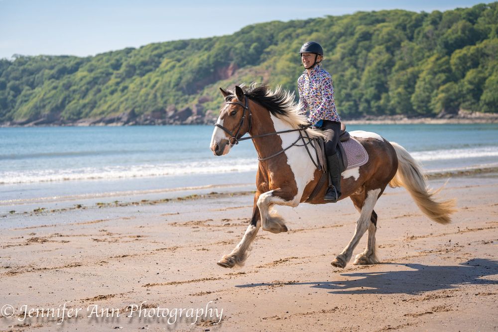 A series of connected photos showing galloping horses at Oxwich Beach and riders creating hoof prints along a scenic beach shoreline.