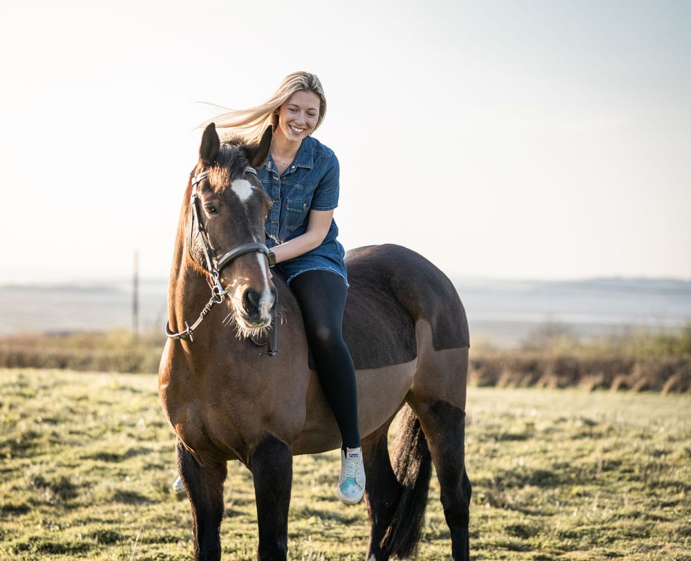 A rider sits atop a dark brown horse in a sunlit field against a horizon on a bright day.