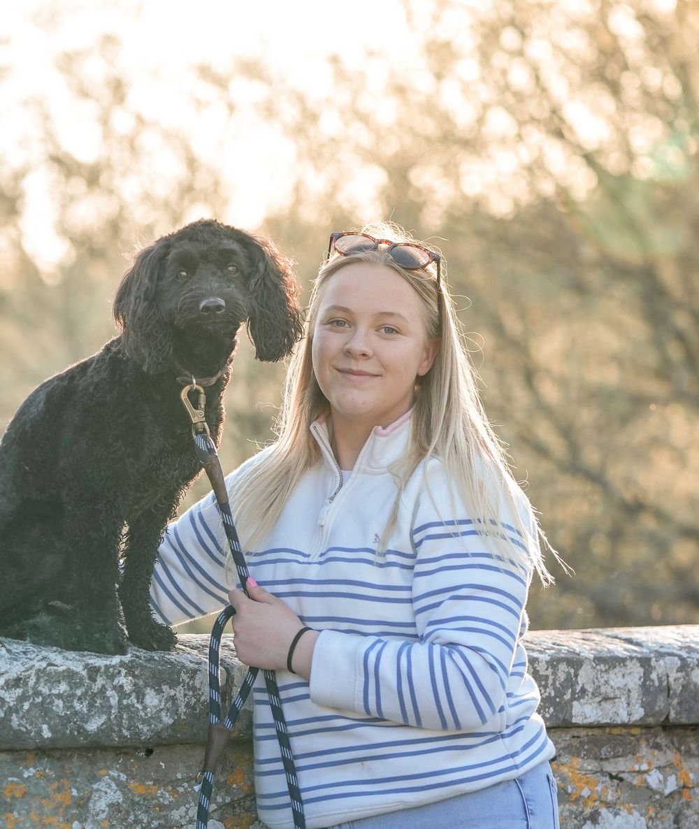 Person wearing striped sweater poses with black curly-haired dog on stone wall during golden hour sunset.