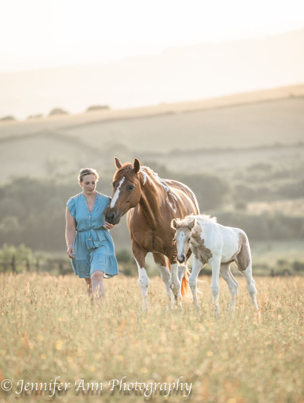 A person leads two horses, one brown and one white, through a golden field at sunset creating a peaceful pastoral scene.