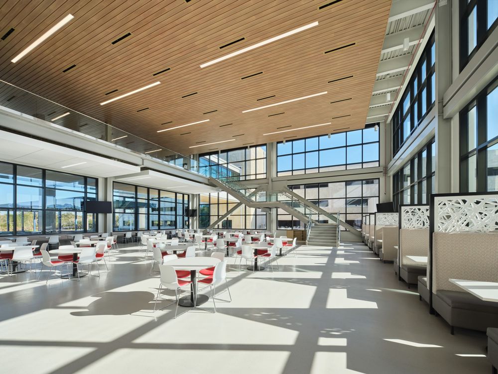 Modern airport terminal interior with wooden ceiling design and large glass windows providing natural light.