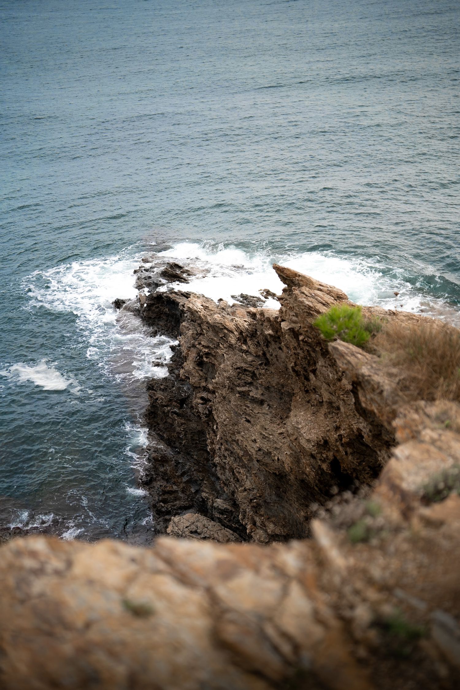 falaise sentier du littoral paulilles