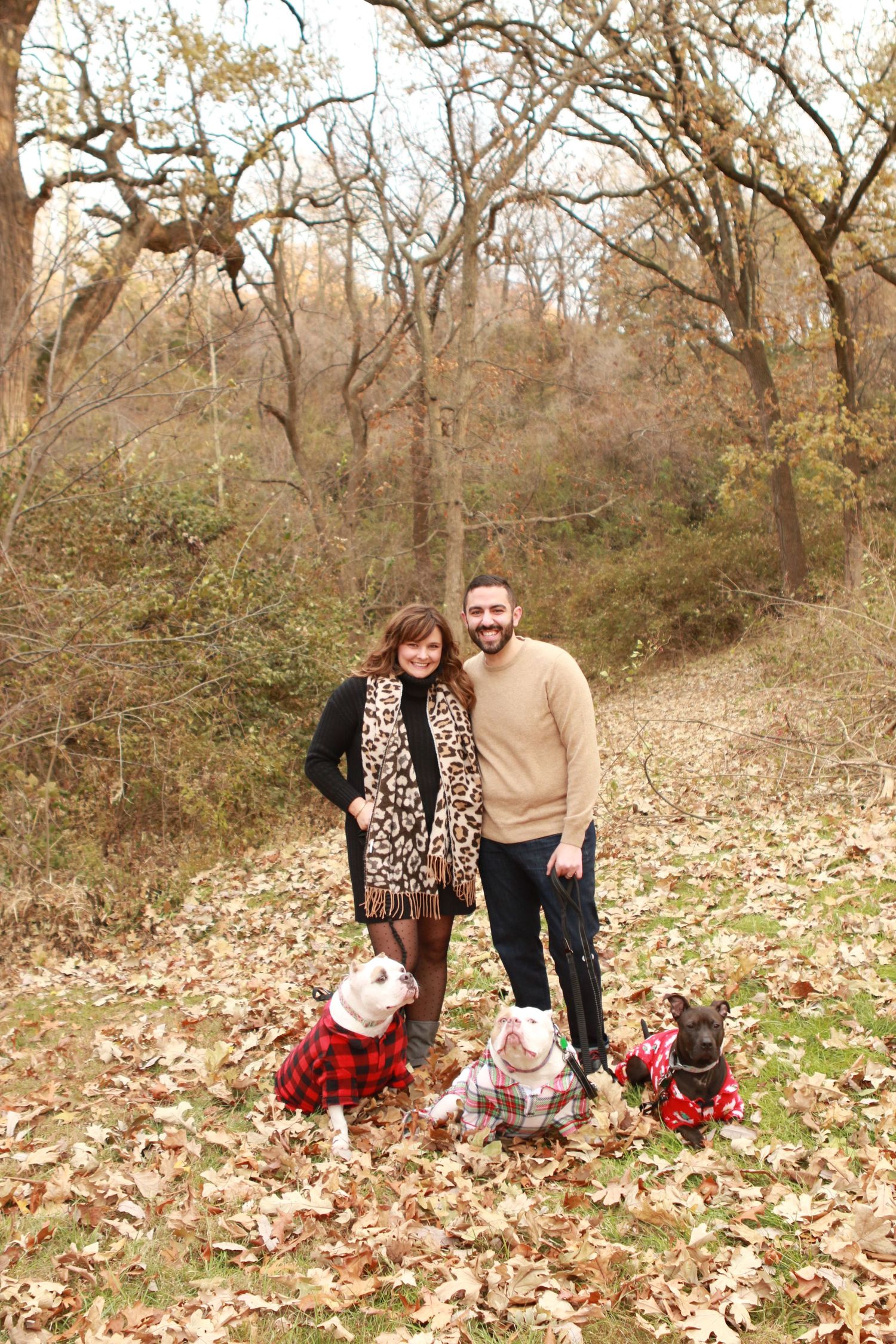 Couple with dogs
