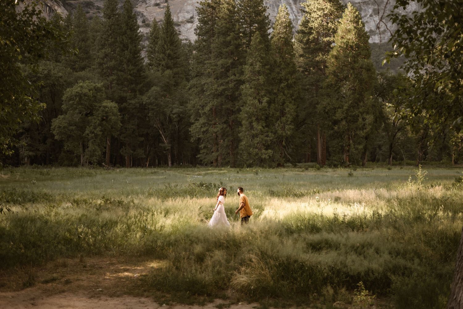 Scenic mountain landscape with pine trees and natural meadow at golden hour.