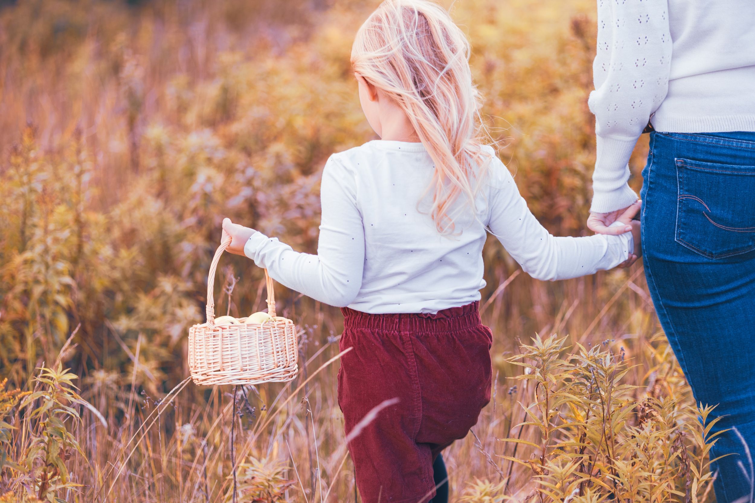 A family session in Gander, NL
