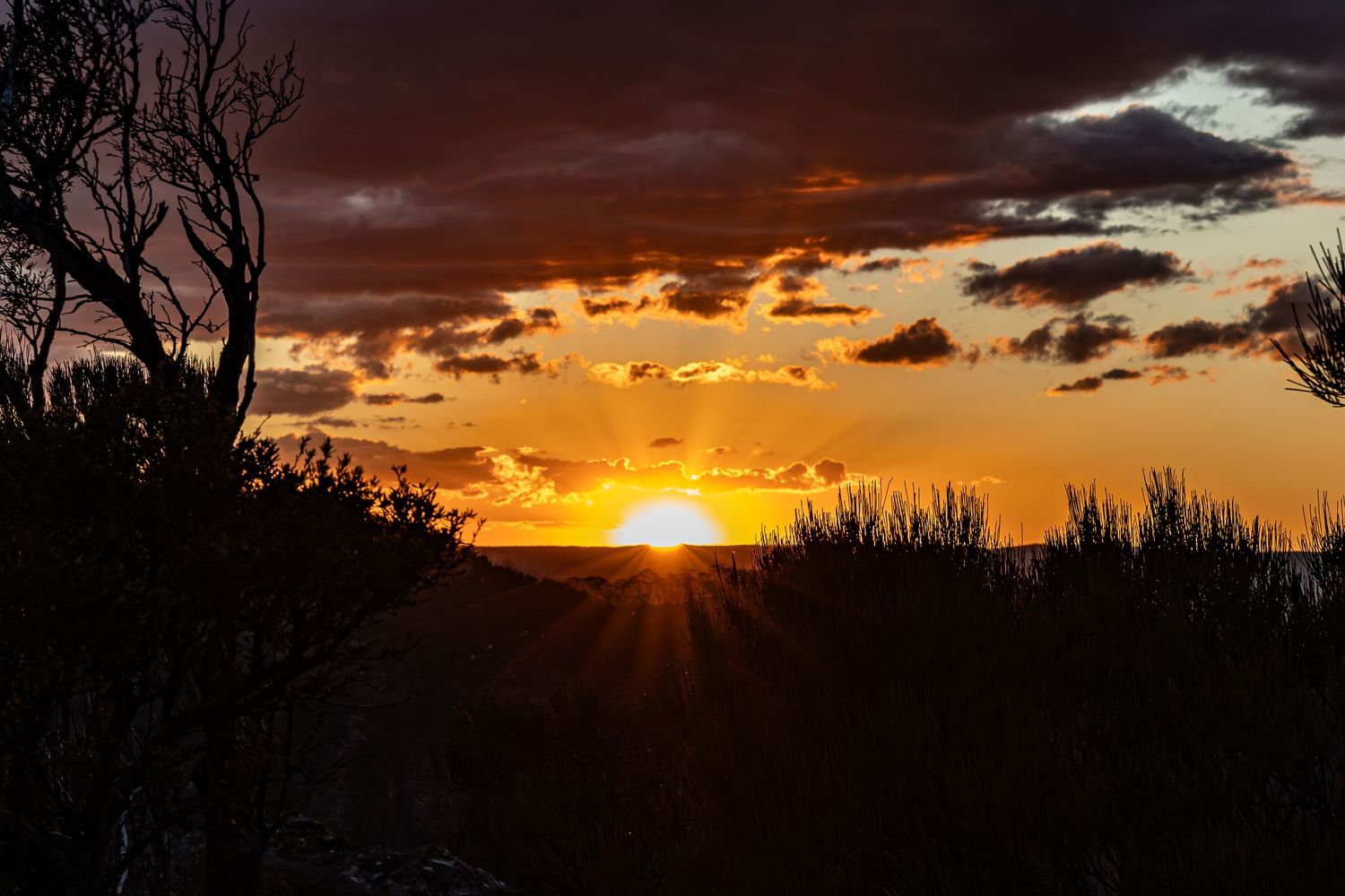 Dramatic orange sunset over silhouetted landscape with dark clouds and tree branches.