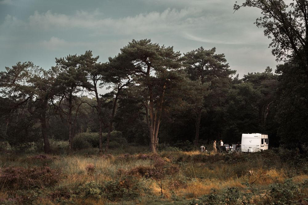 A scenic panoramic view of a wooded landscape with evergreen trees and cloudy skies stretches across multiple frames.