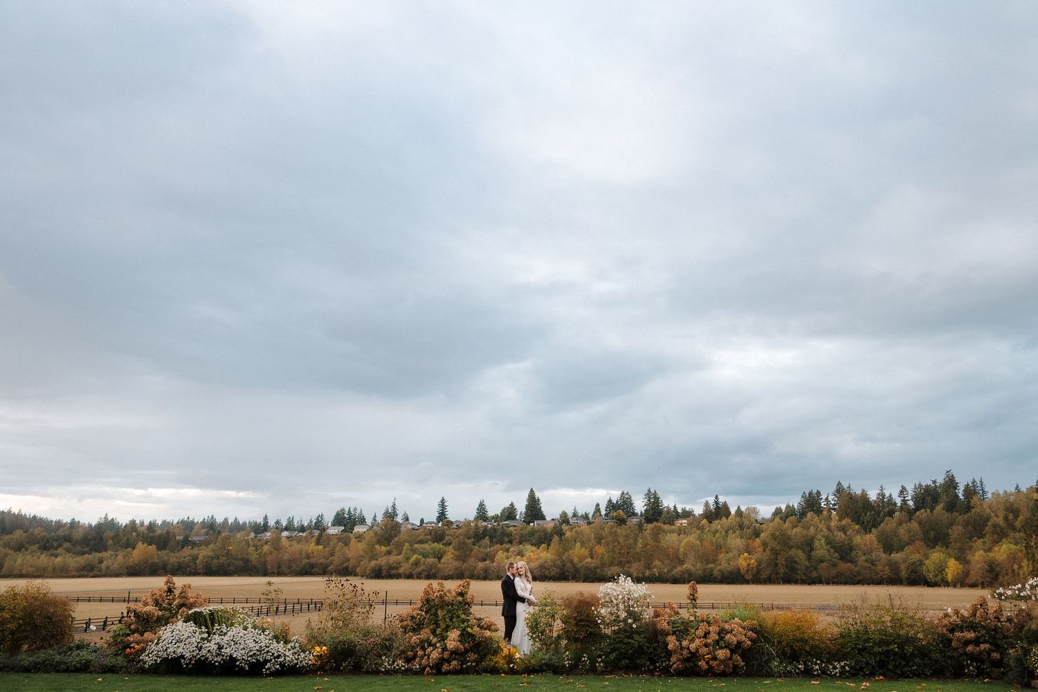 A person and their pet dog sit together on a scenic trail beneath tall evergreen trees in a peaceful forest setting.
