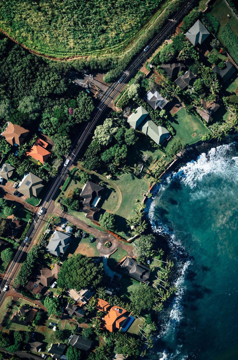 Bird's eye view of a coastal neighborhood with homes nestled among tropical vegetation.