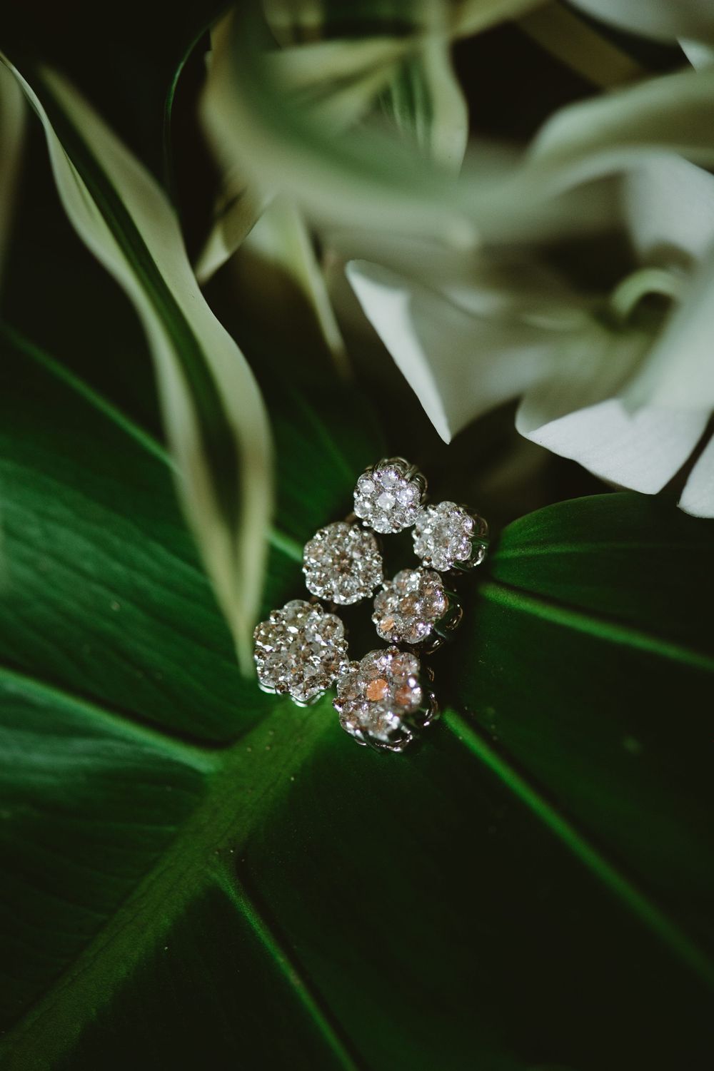 Sparkling diamond flower-shaped brooch or pin displayed on dark green leaf background with soft white floral elements.