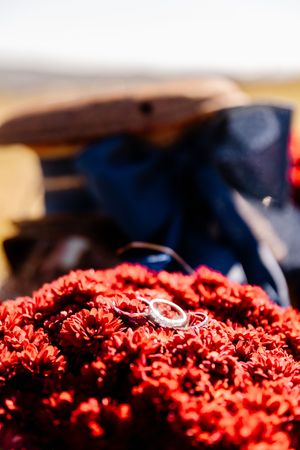 Two silver wedding bands resting on vibrant red chrysanthemum flowers with blurred background.