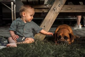 A child and dog relax together on grass beneath a wooden deck.