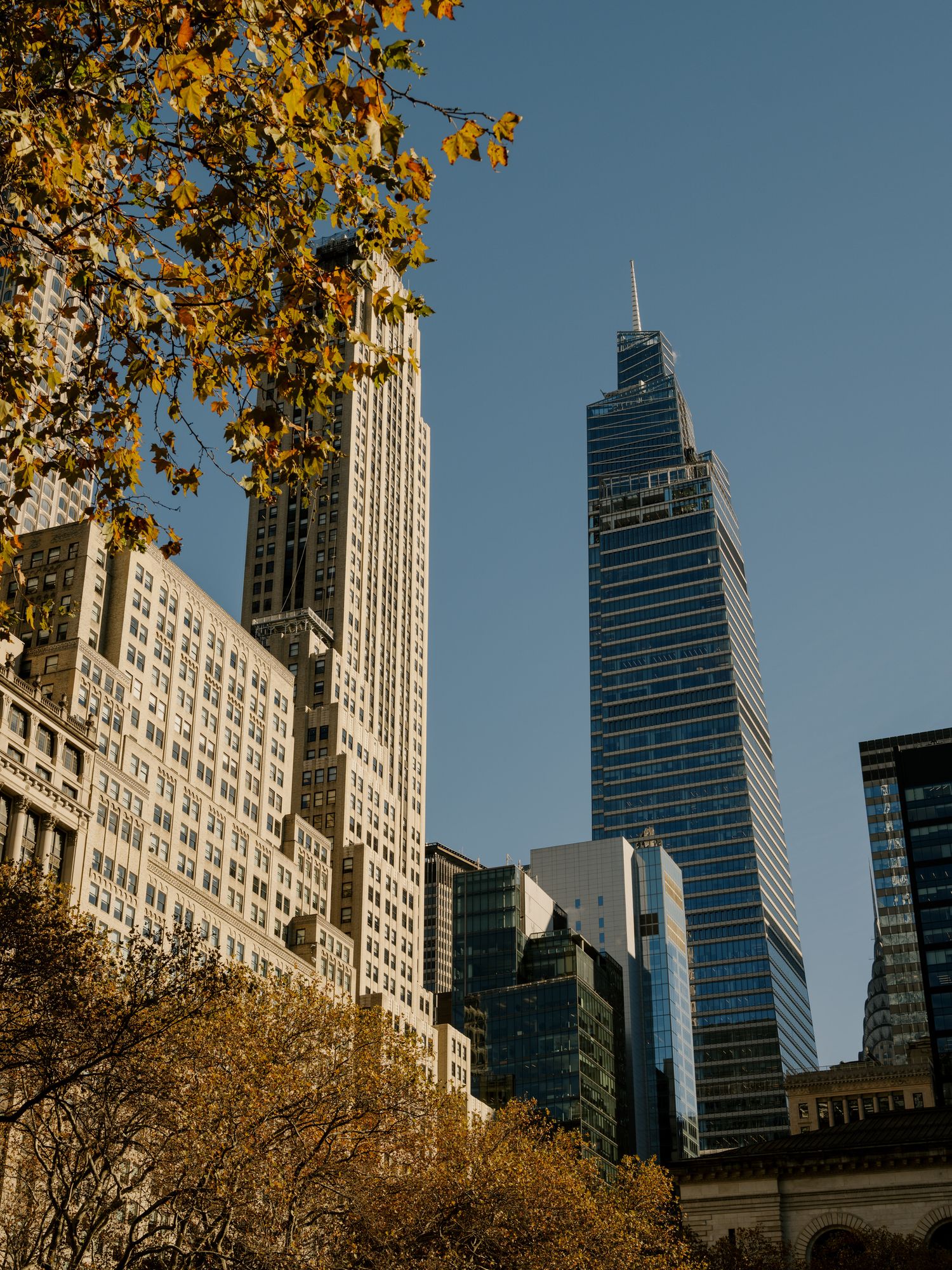 Modern skyscrapers in New York City's skyline framed by golden autumn leaves against a clear blue sky.