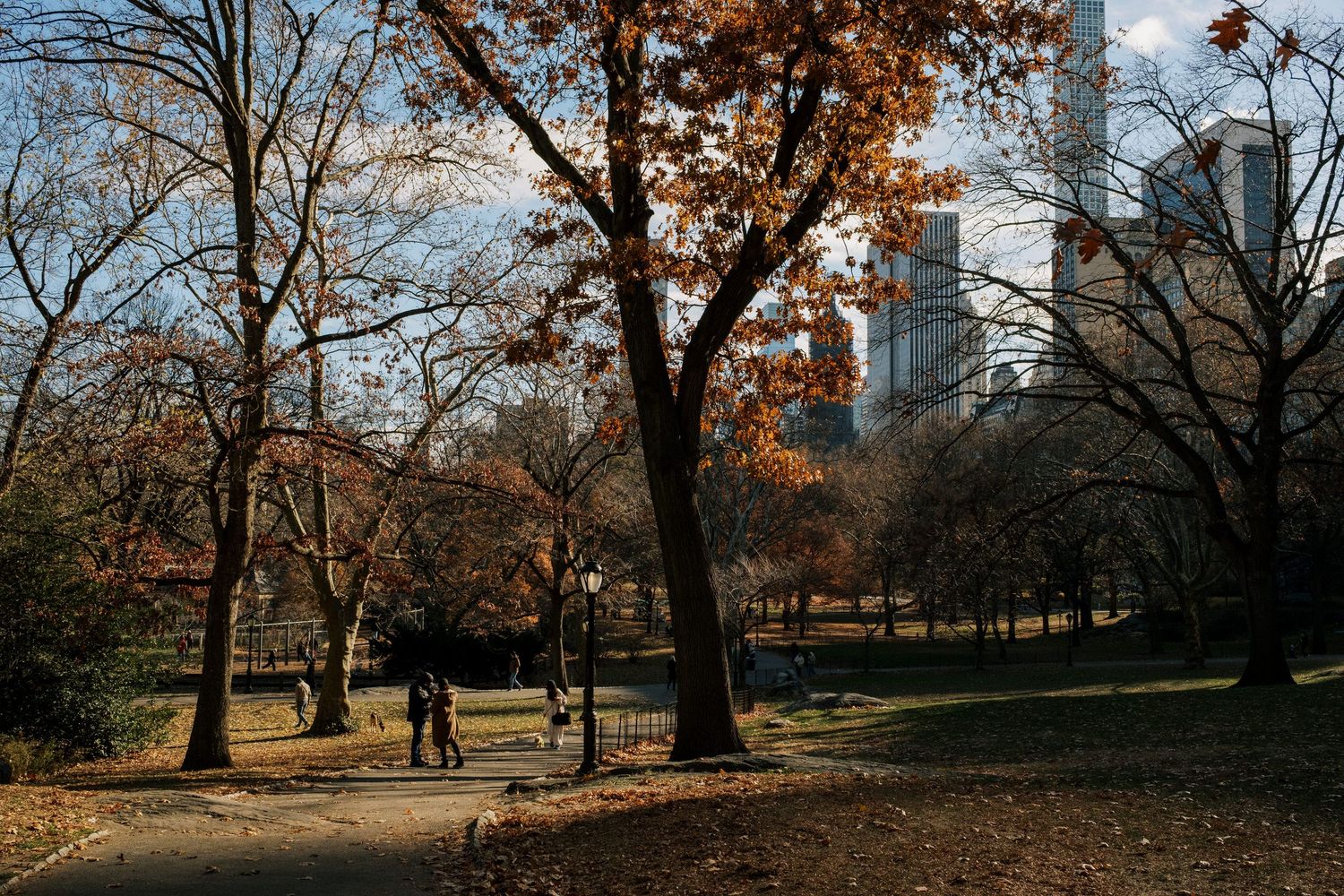 Autumn trees with bare branches frame the city skyline in Central Park during fall.
