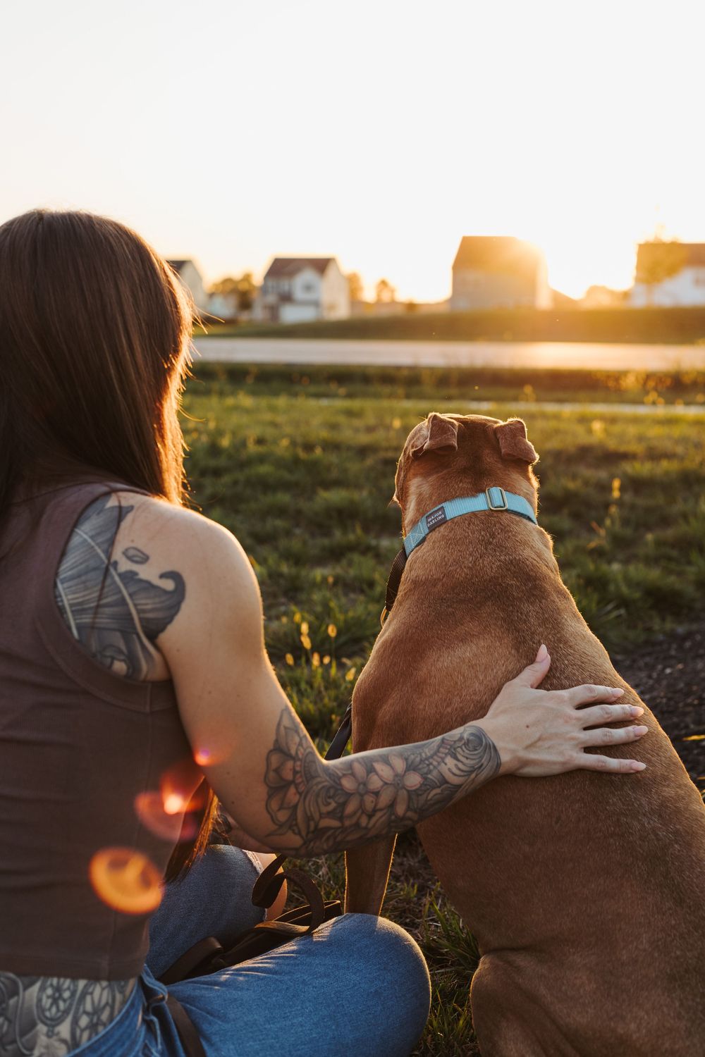 A person and their brown dog share a tender moment at sunset in a grassy field.
