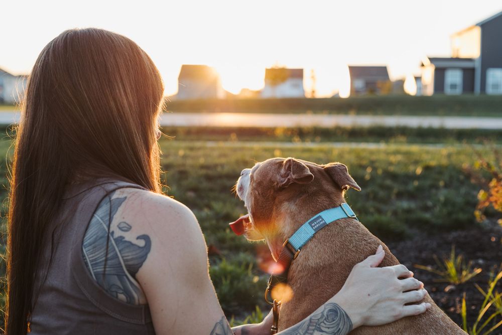 A person with tattoos embraces their dog while sitting in a sunlit meadow at golden hour.