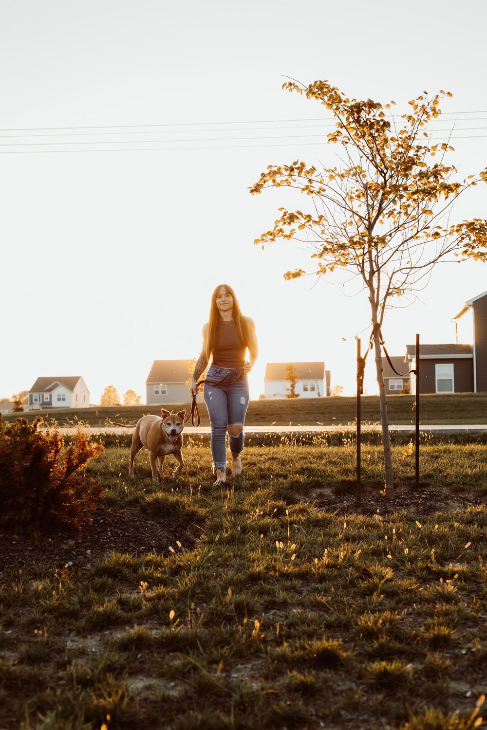 Person walking with dog in autumn field at sunset with houses in background and golden-leaved trees.