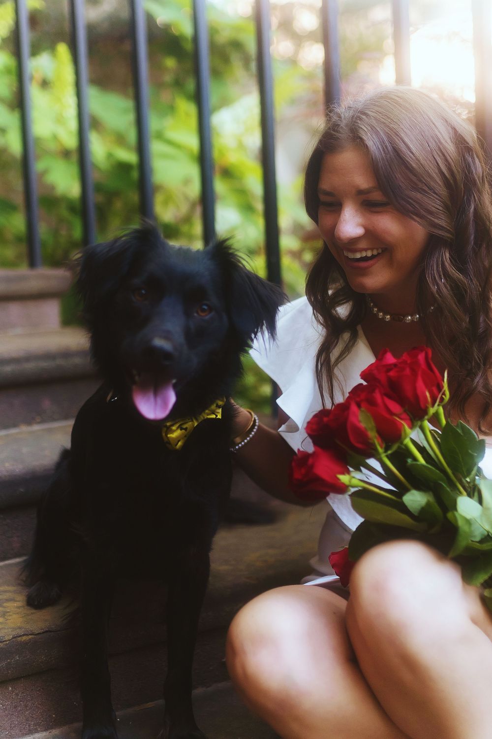 A black dog sits next to someone holding red roses in a series of connected photos.