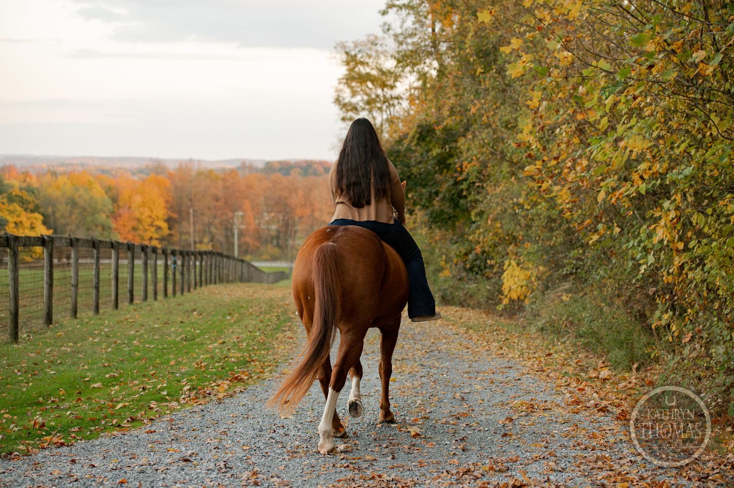 A horse and rider traverse a scenic autumn trail surrounded by colorful fall foliage.
