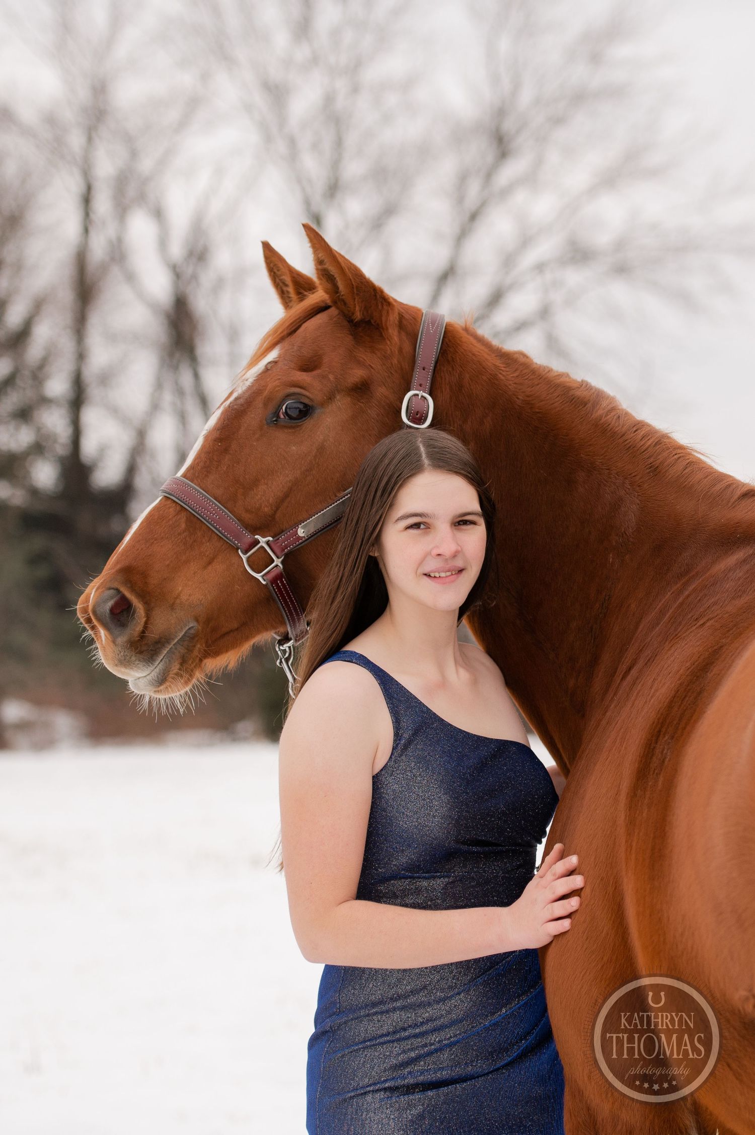 A chestnut horse and someone in a navy dress pose together in a snowy winter landscape.