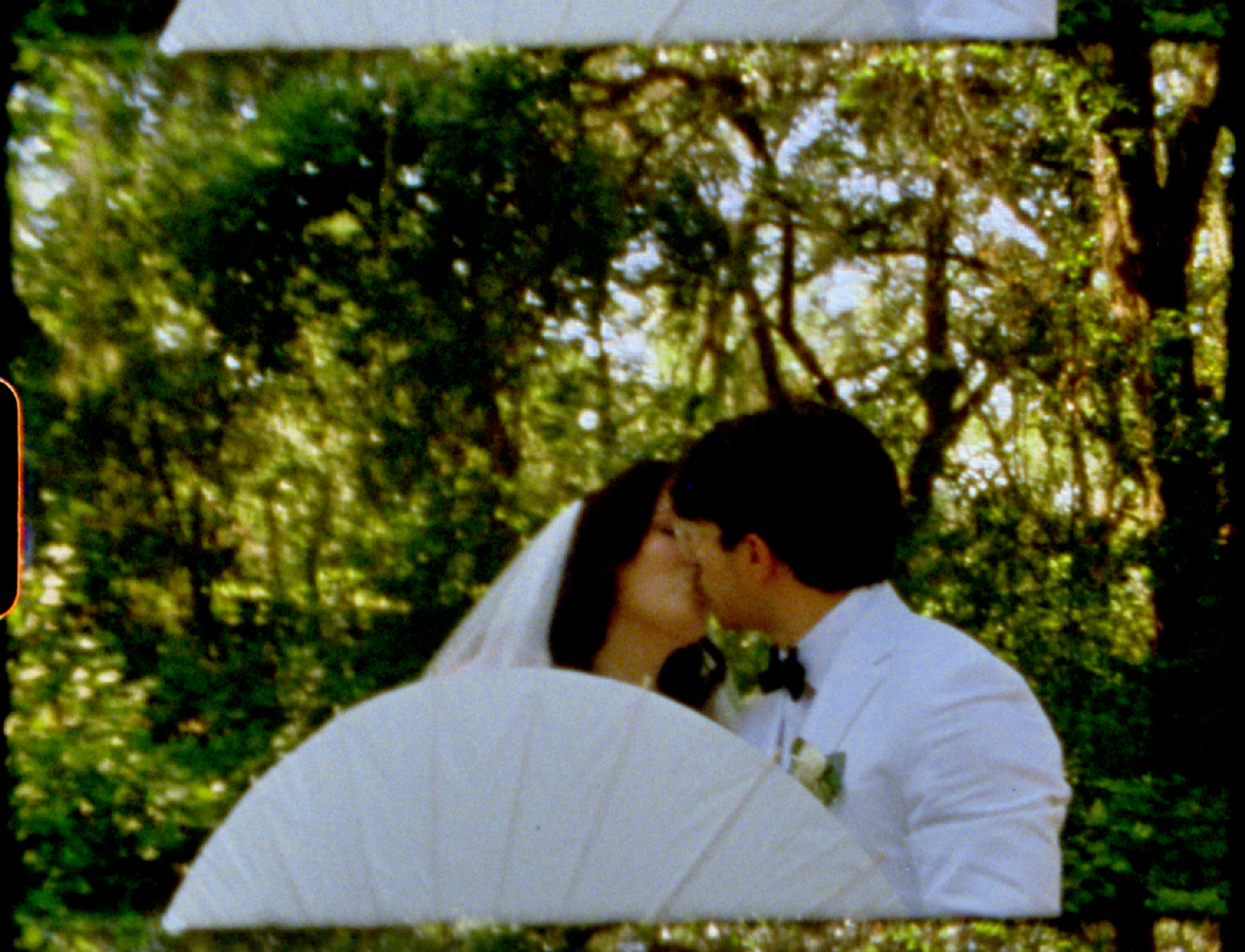 Bride and groom on wedding day in forest.