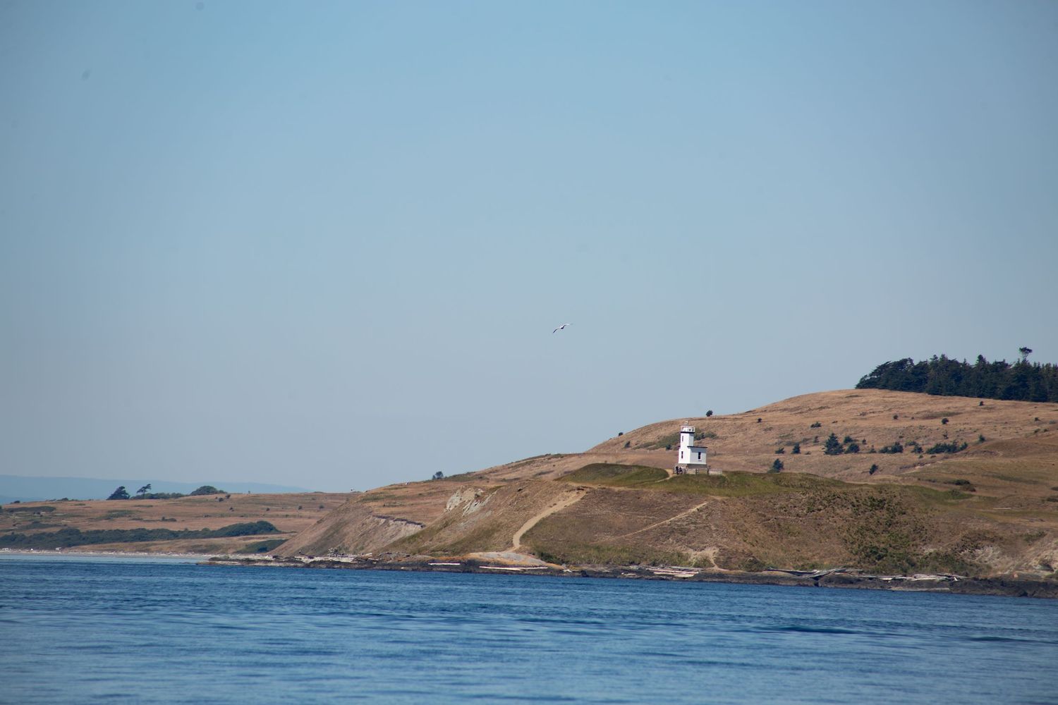 San Juan Islands Branding Photography