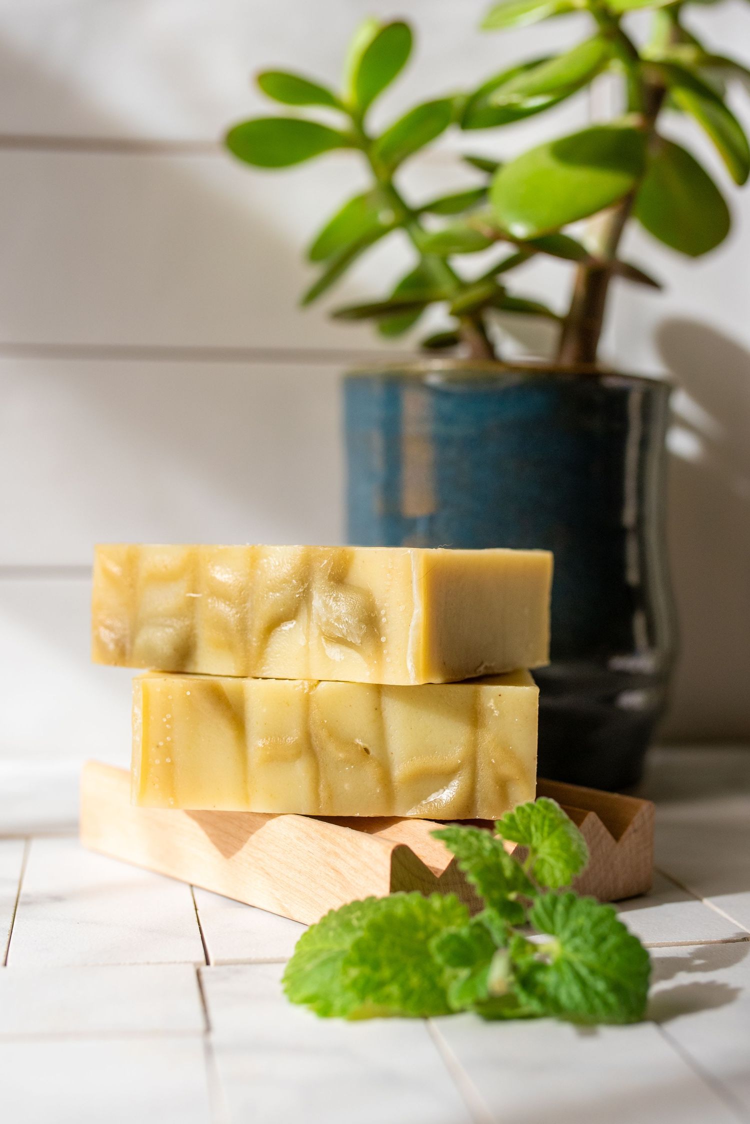 Natural soap bars displayed with green plants against white wooden backdrop.