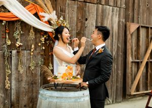 Couple shares wedding cake moment in front of rustic barn setting.
