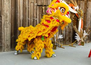 Traditional Chinese lion dance performer in yellow costume at rustic barn venue.