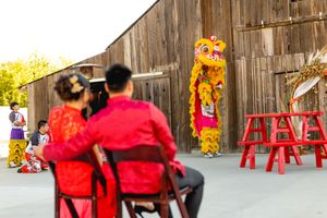 Chinese lion dance performance at rustic barn wedding with seated couple in red.