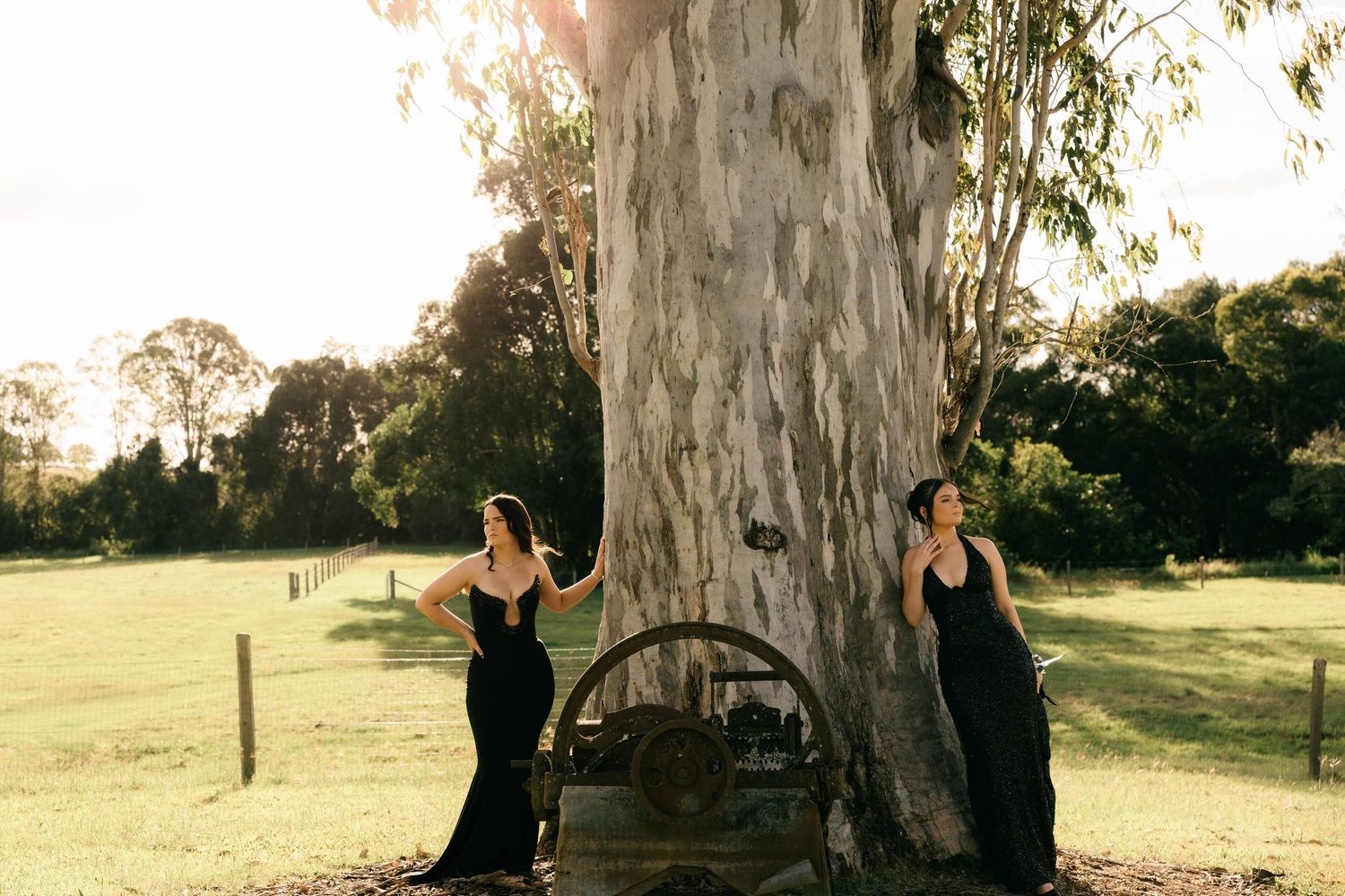 Two women in elegant black gowns stand beside a large eucalyptus tree in a sunlit green field.