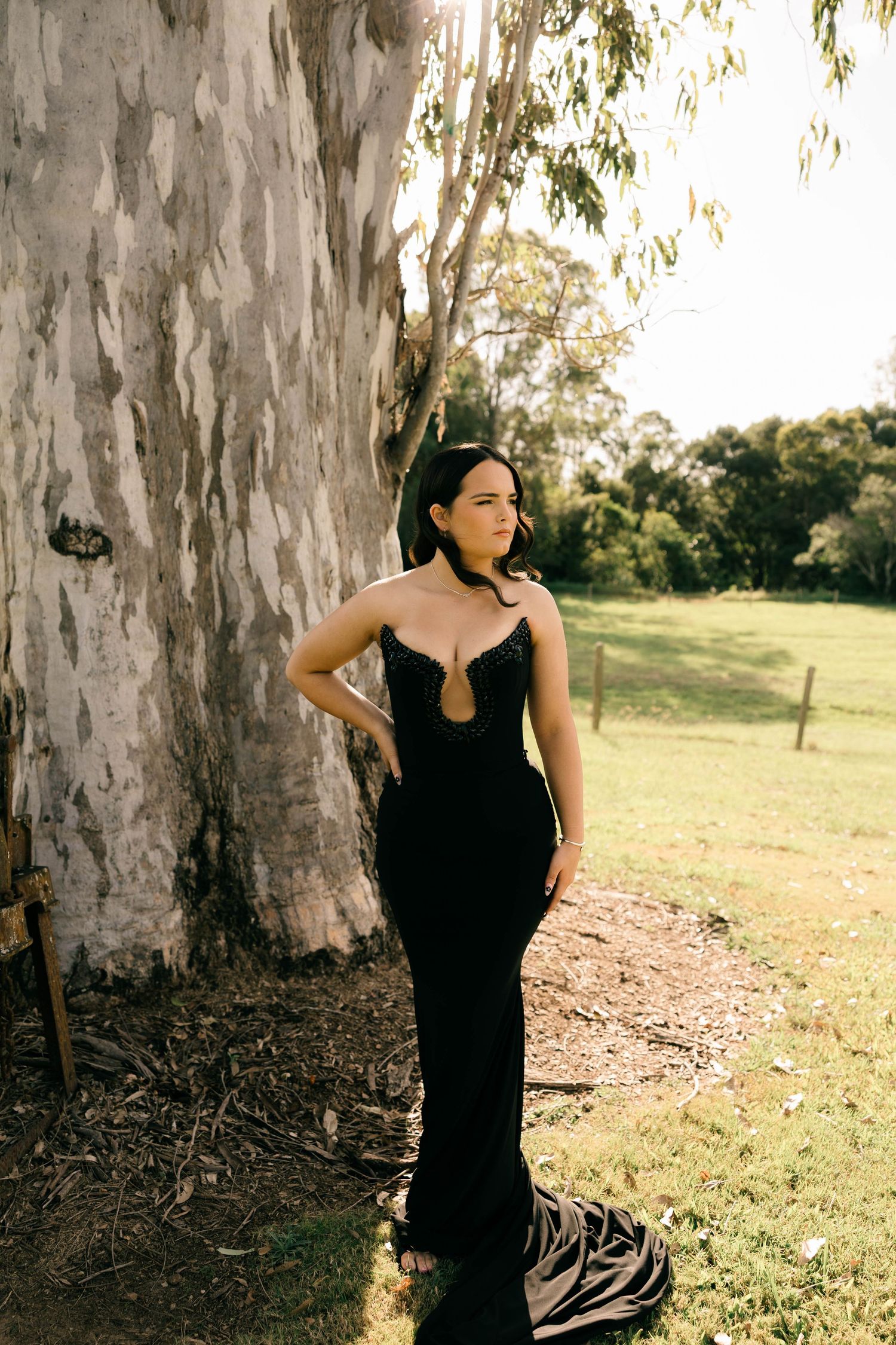 Woman in elegant black gown posing beside a large eucalyptus tree in a sunlit green field.